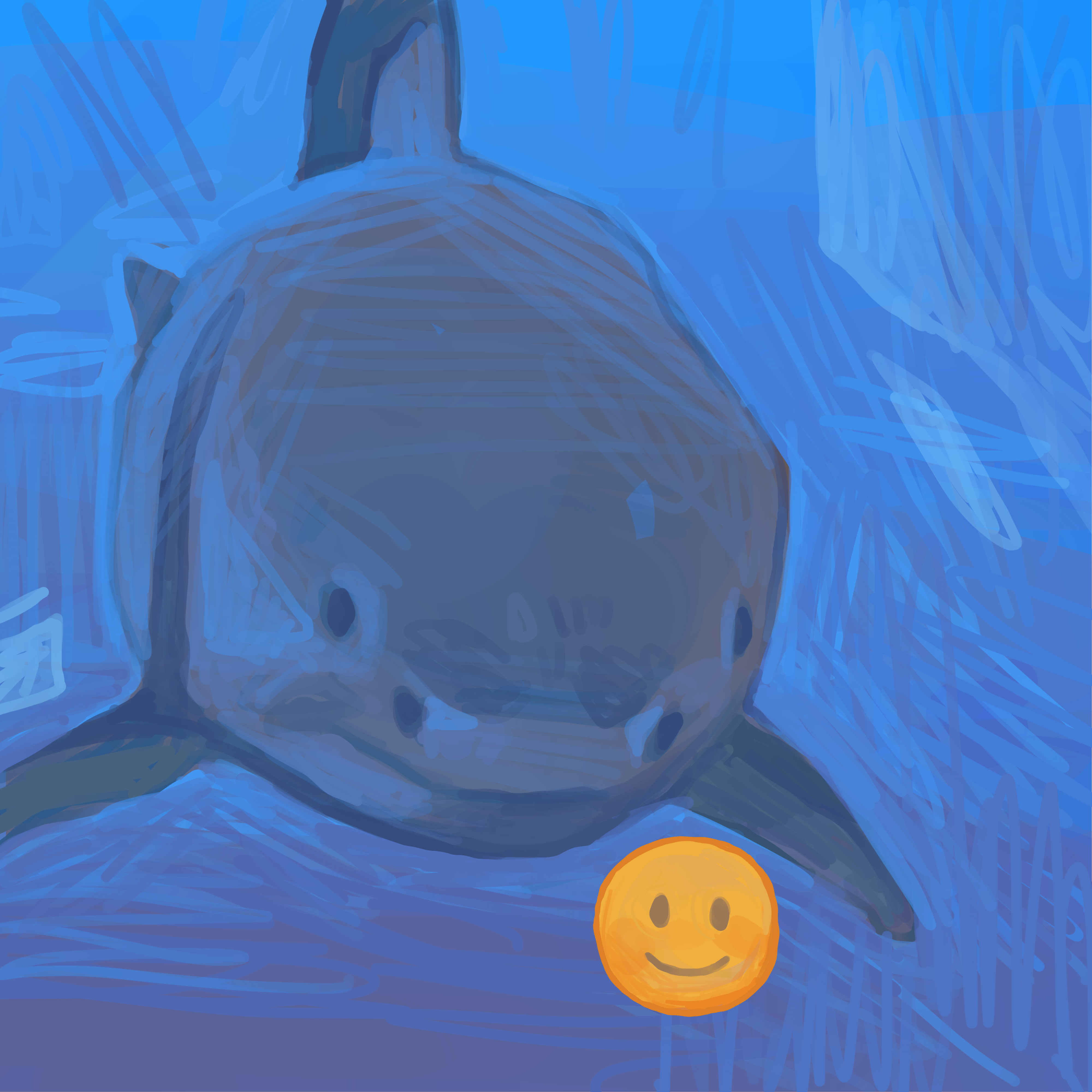 shark i.PNG